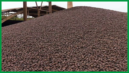 陶粒回填 建筑陶粒 供應保溫1-3公分衛(wèi)生間陶粒，回填陶粒